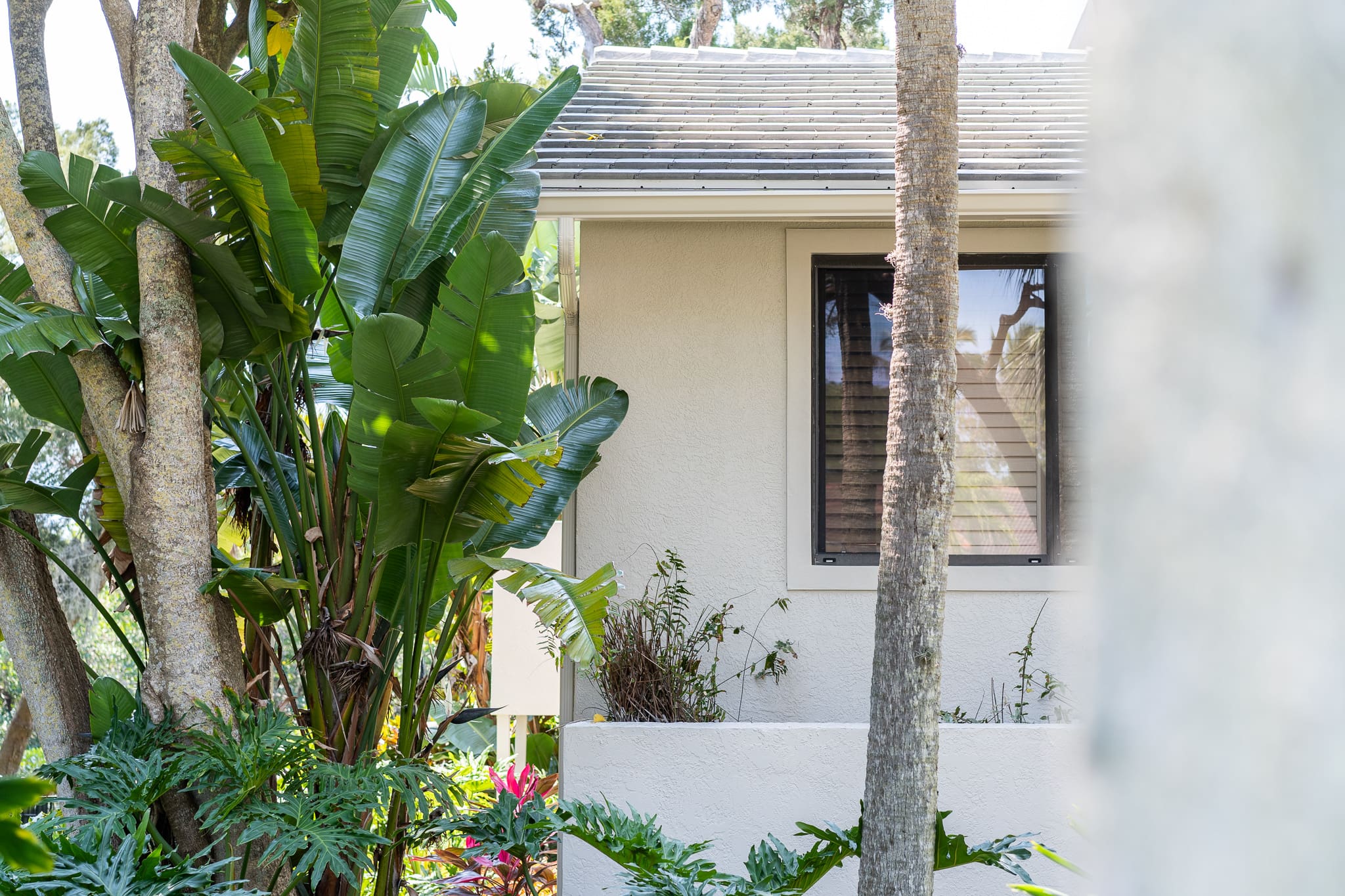 HershbergerBayou07654